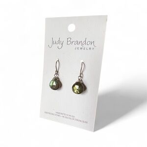 Labradorite Gemstone Earrings - Fishhook - USA Stainless Steel